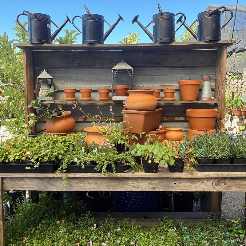 Nursery